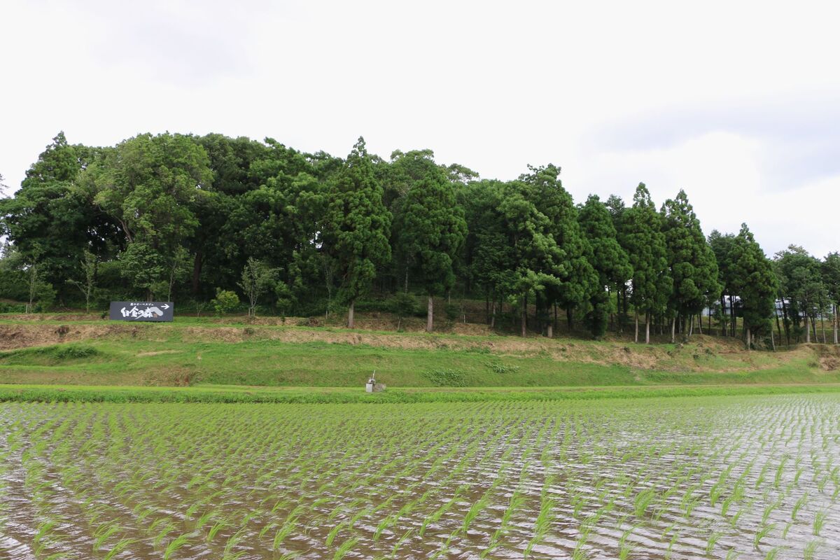 水田に取り囲まれています