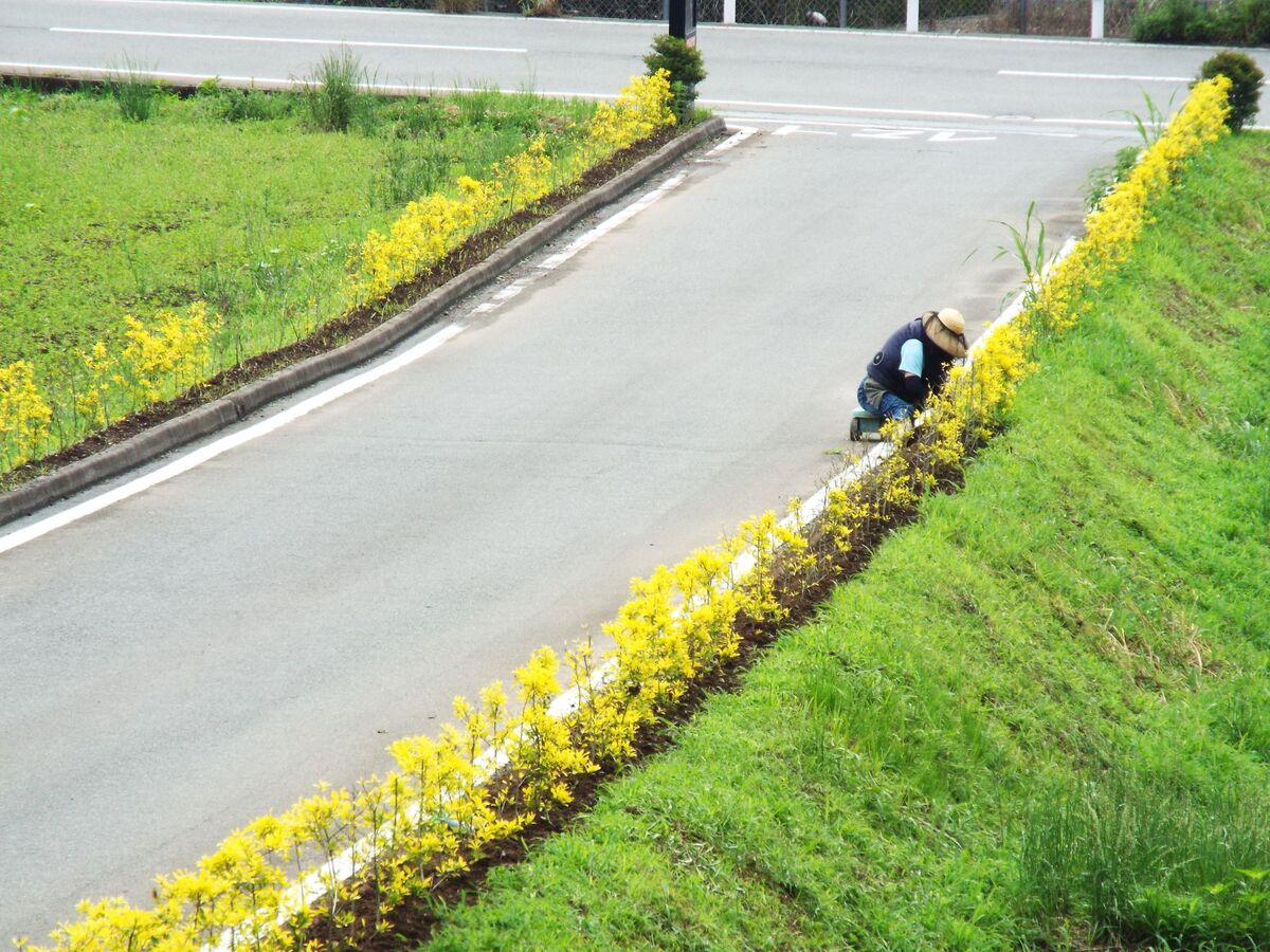 朝から黙々と作業をしています