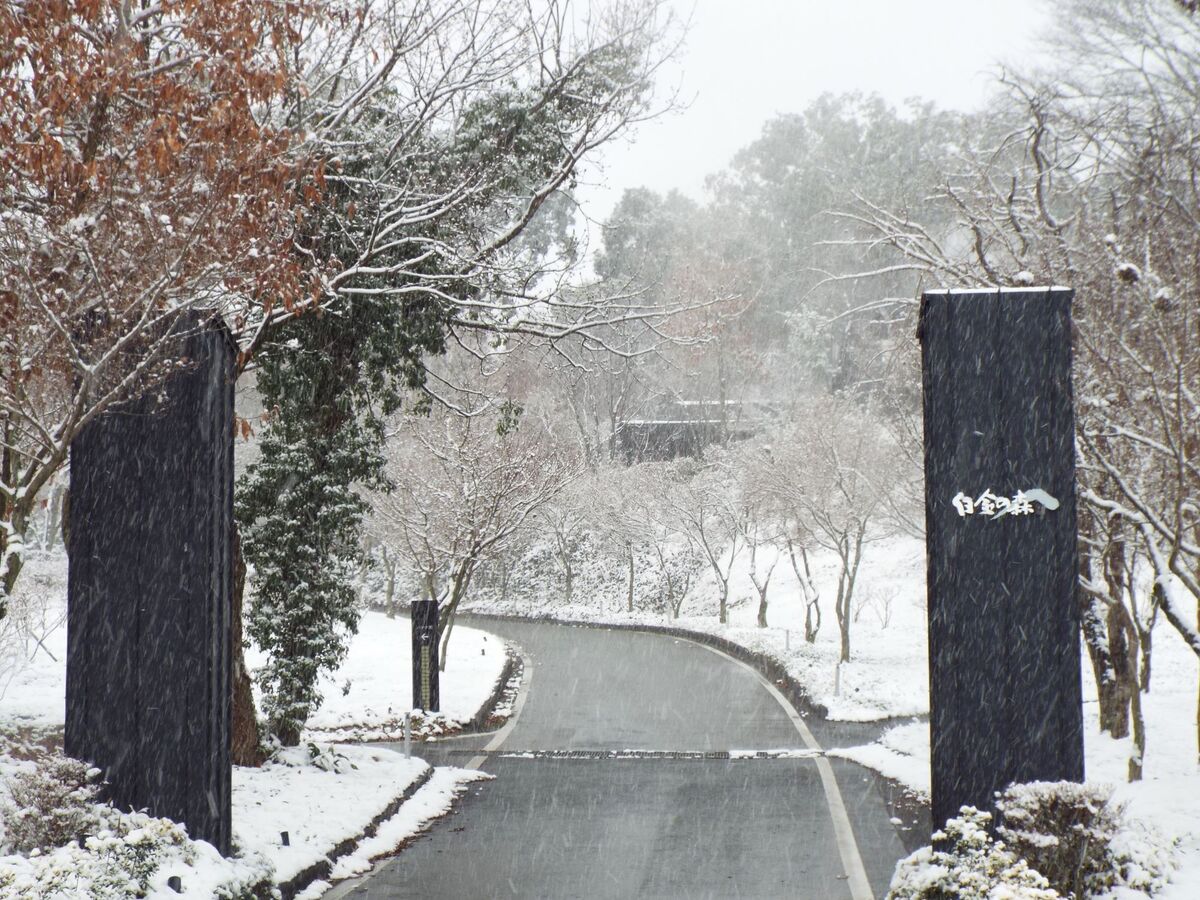 入口からの道は融雪剤で積もっていません