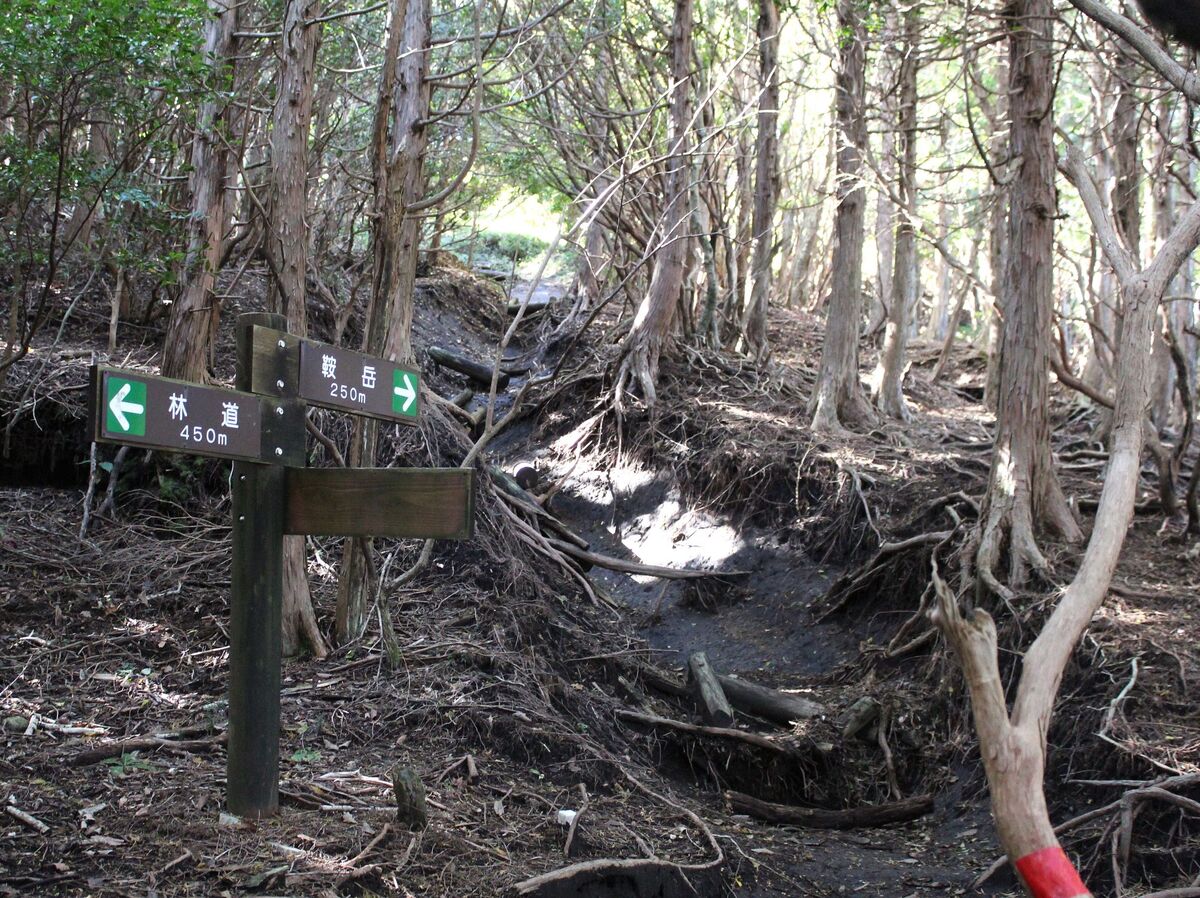 森の山道には標識も