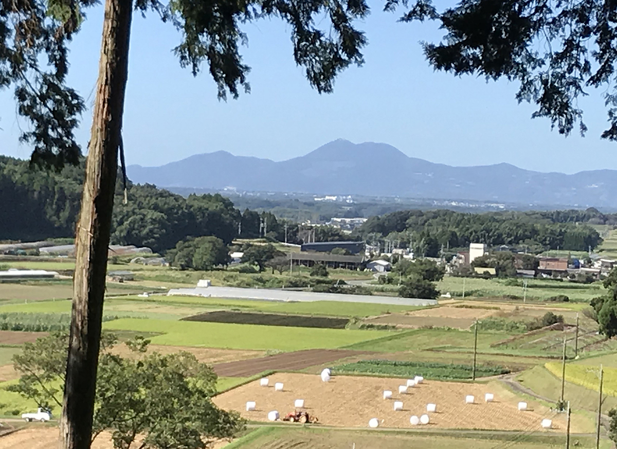 白金の森の秋日和