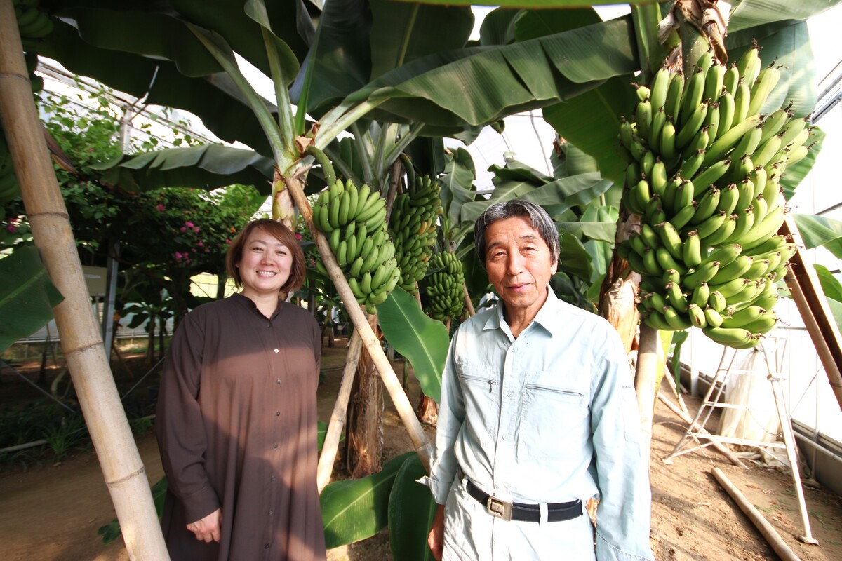「持続可能な農業を実現したい」。 バナナの温泉熱栽培で、明るい未来を創造。