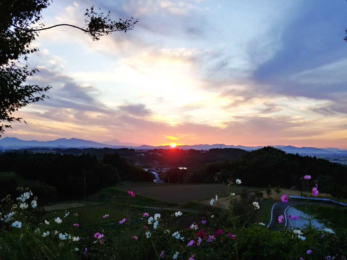 菊池の隠れ絶景スポットです