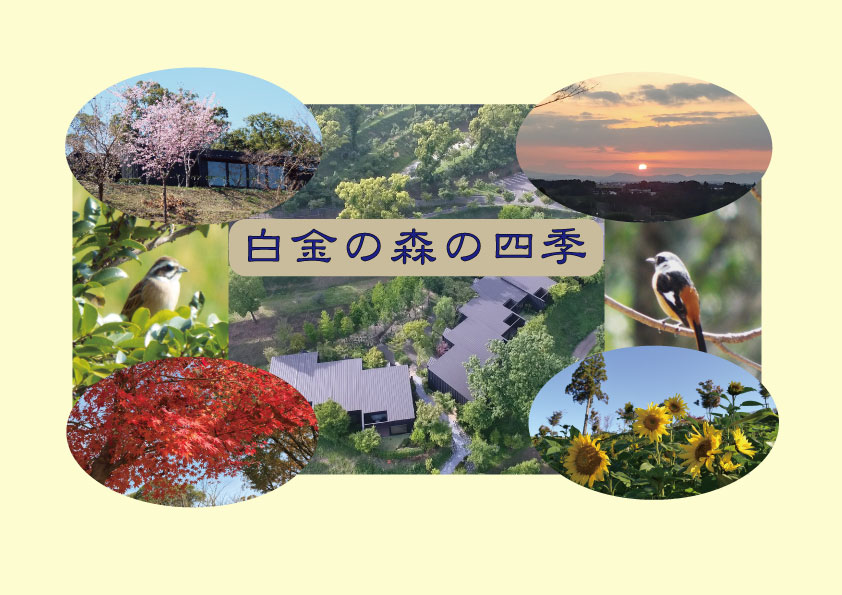 四季の情景