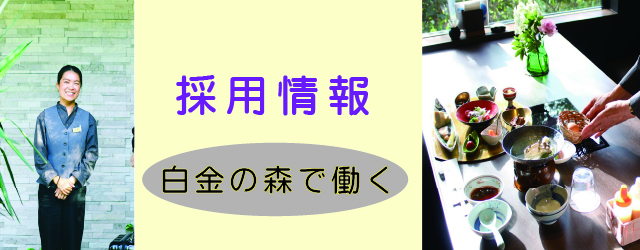 採用情報